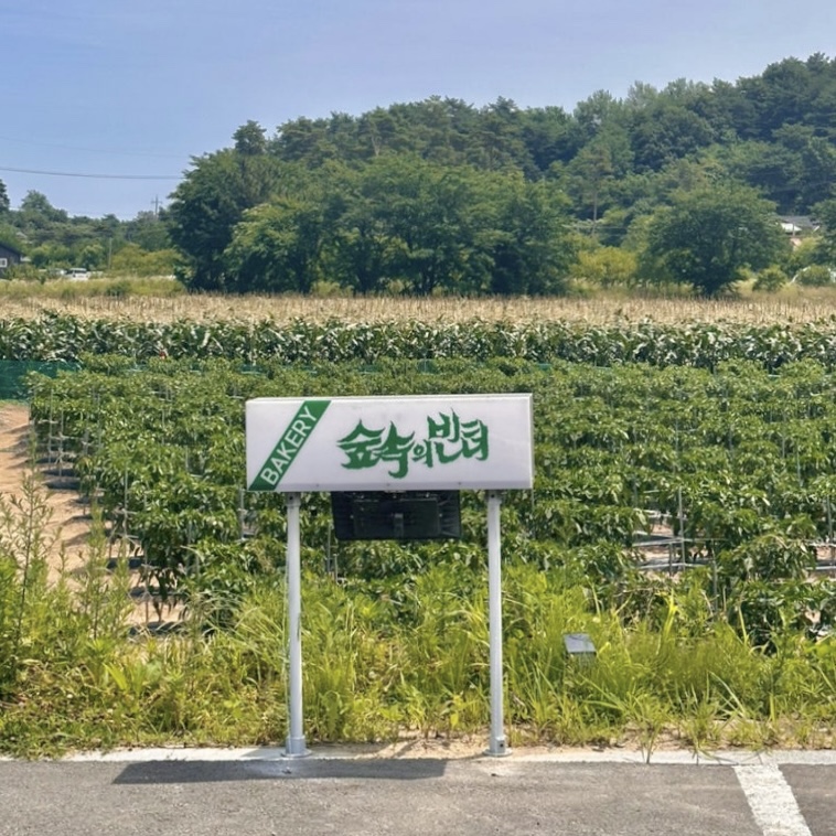 숲속 이미지