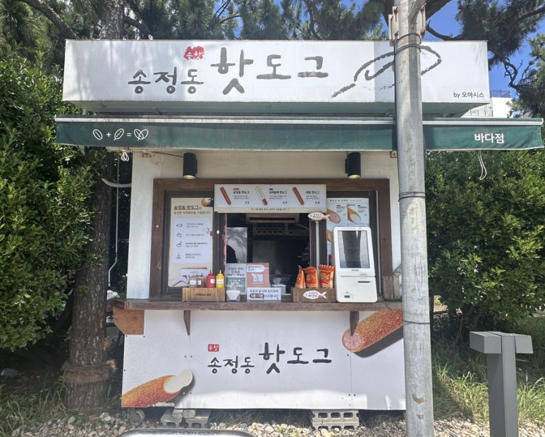 송정동핫도그바다점 이미지