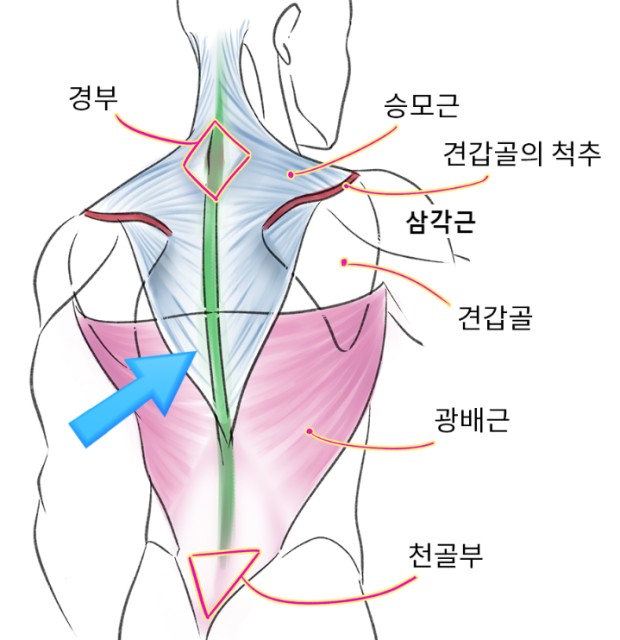 로하핏스튜디오 이미지