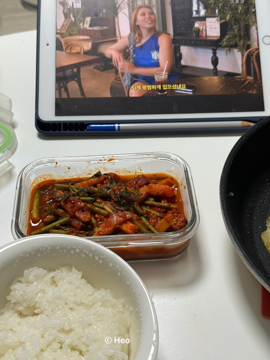 찐 하루살이 이미지