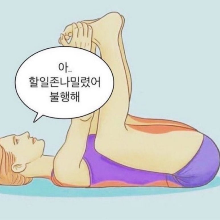 부타 이미지