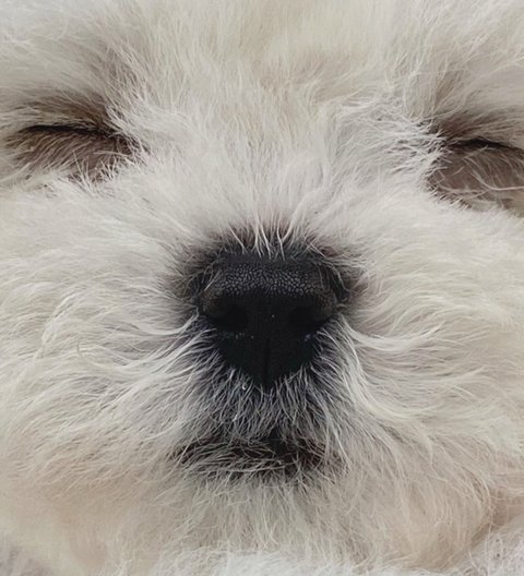 인마이포토 이미지