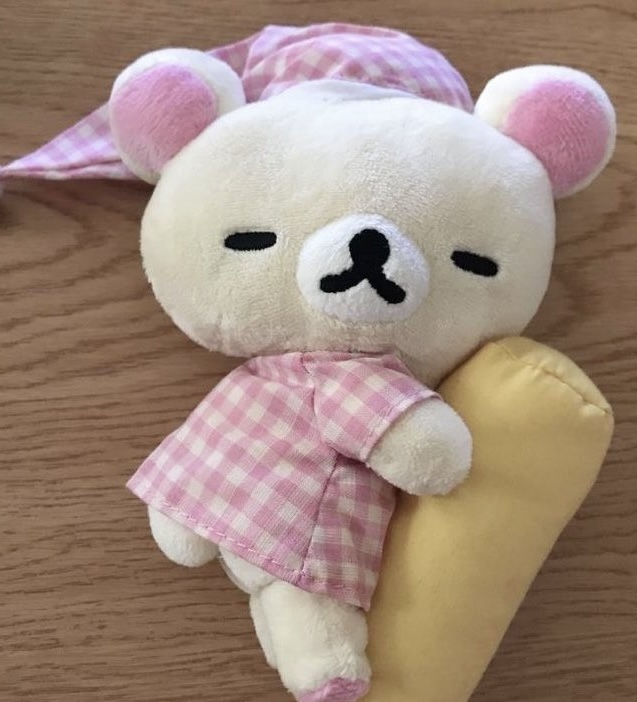 코야 이미지