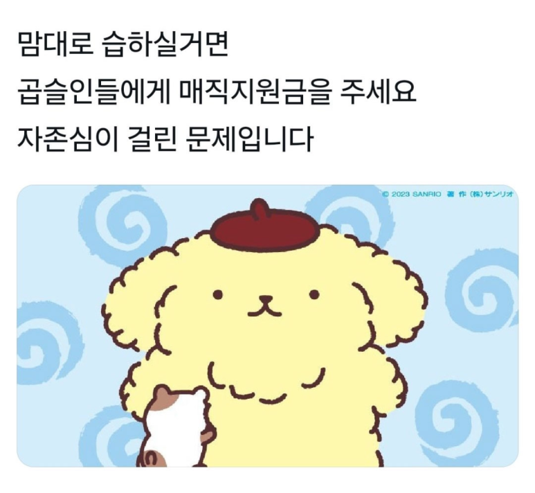 (주)소담 이미지