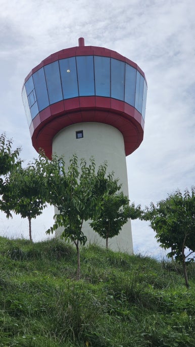 용인자작나무숲펜션 이미지