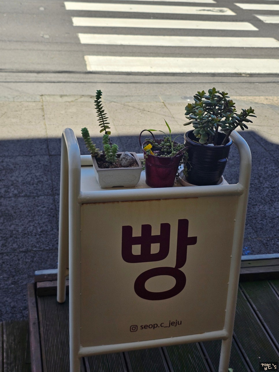 섭씨제주 이미지