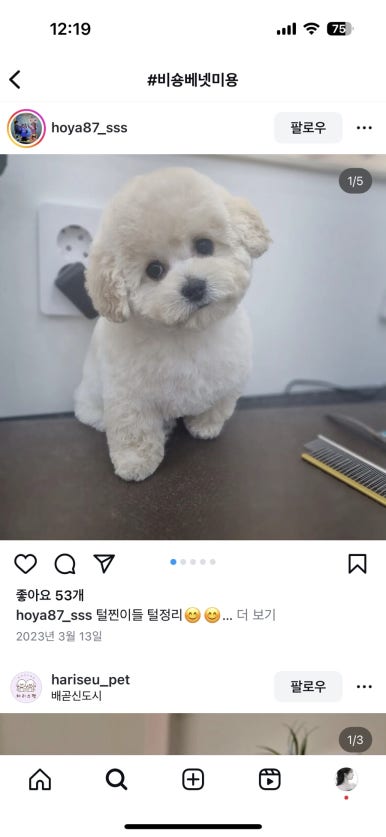 마이티그루밍 이미지