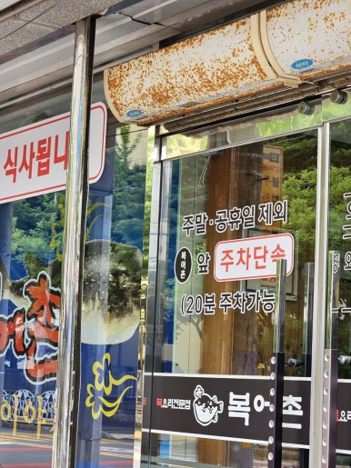 평화복어 이미지