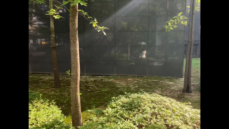 복터져 이미지