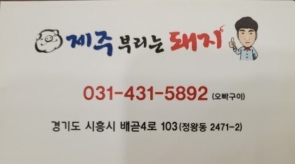제주부리는돼지 이미지