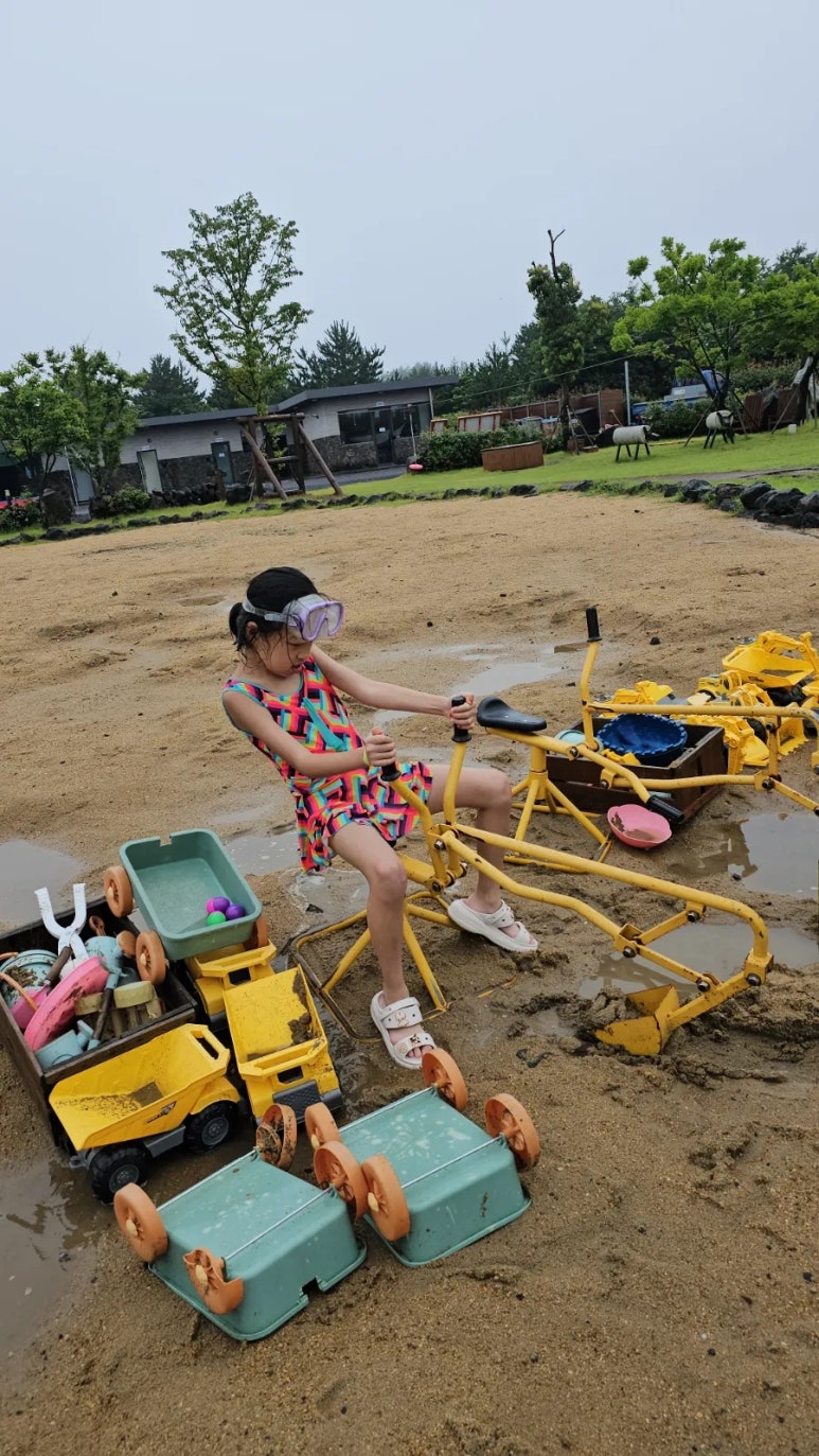 아이올레인포레스트캠핑 이미지