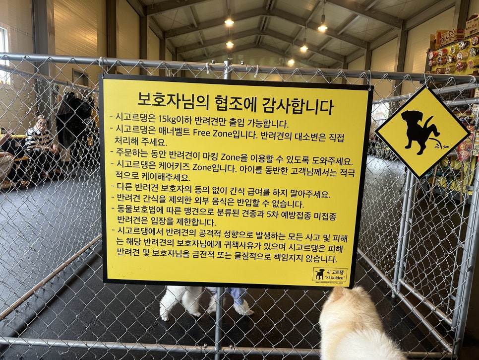 시고르댕 이미지