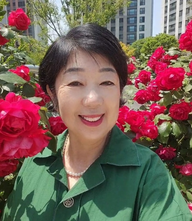 소노지아 이미지