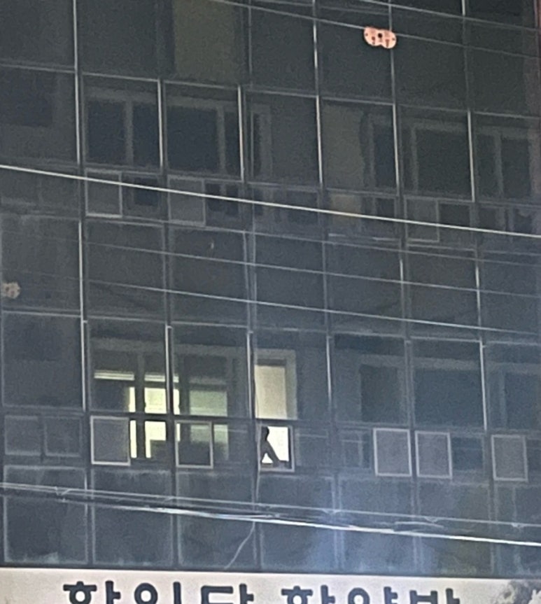 신나쏭 이미지