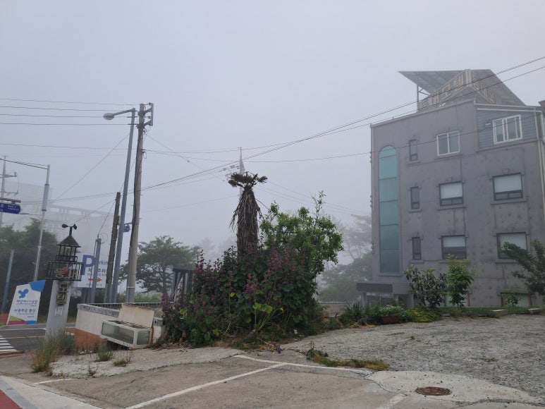 진도대교 국밥 이미지