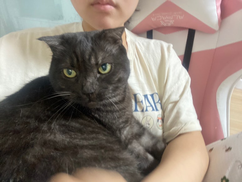 나 불러떠 이미지