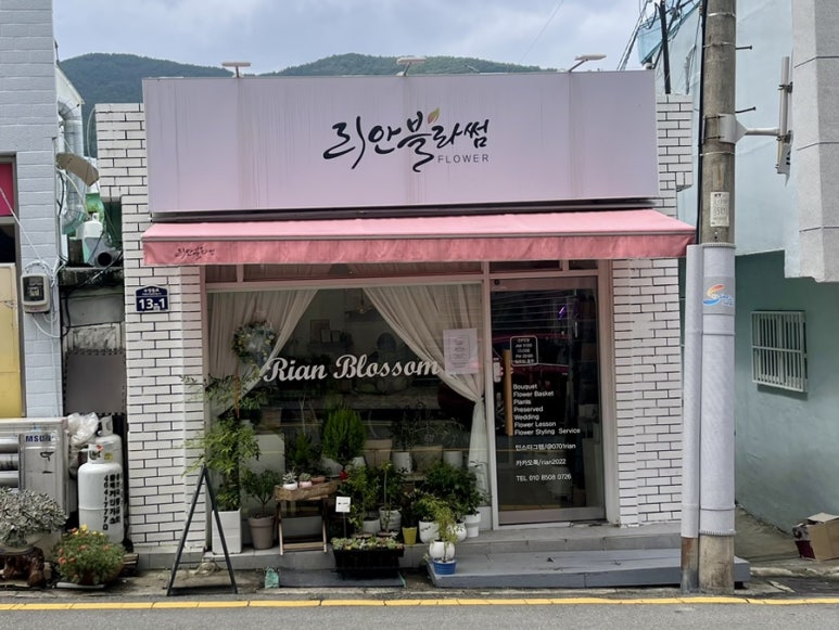 리안블라썸 이미지