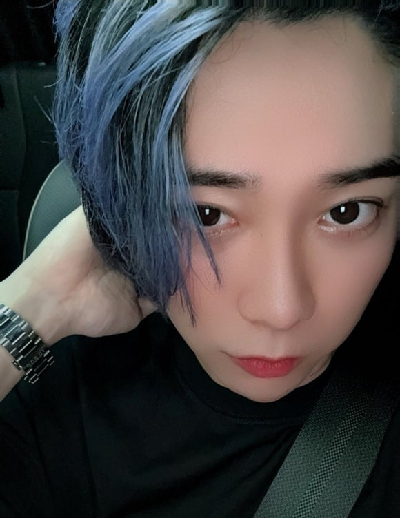 미세스도나 이미지