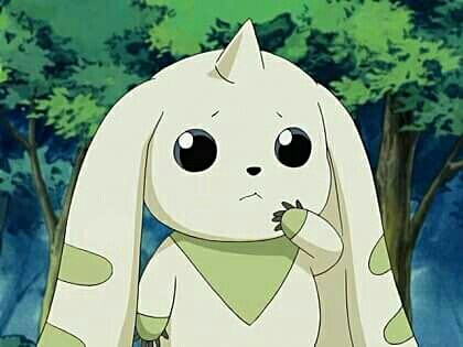 빵zip CouCou 이미지