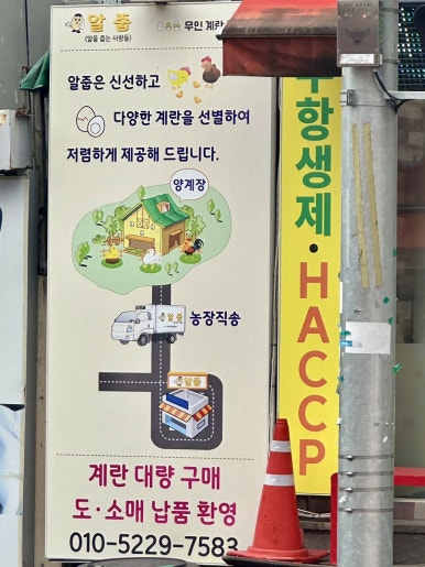 알줍 이미지