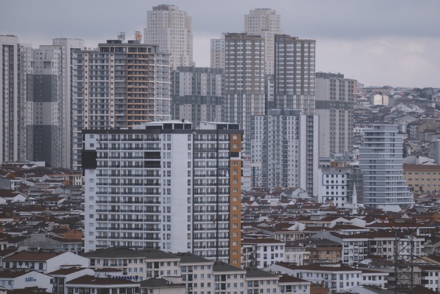광명어패럴 이미지