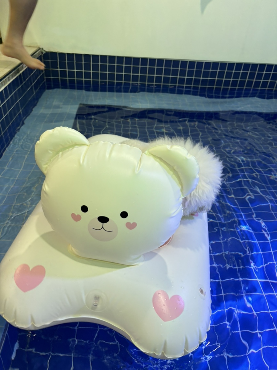 부천 워터독 강아지 실내수영장 재방문 후기 — 사진 5