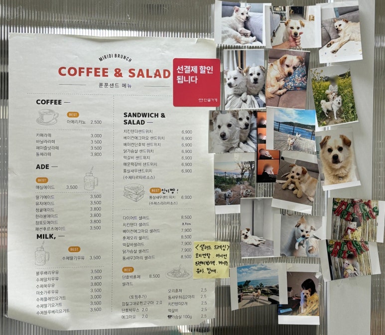 푼푼샌드 이미지