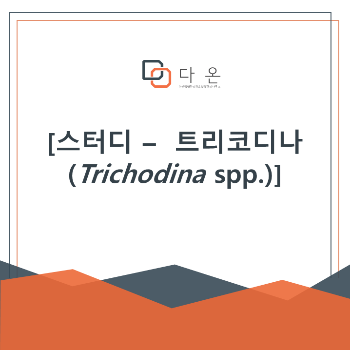 다온나과일 이미지