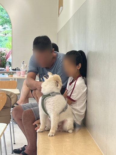 카페히로 이미지