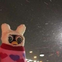 힐링스 이미지