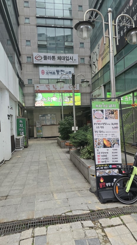 녹차 먹은 돼지 사진 8