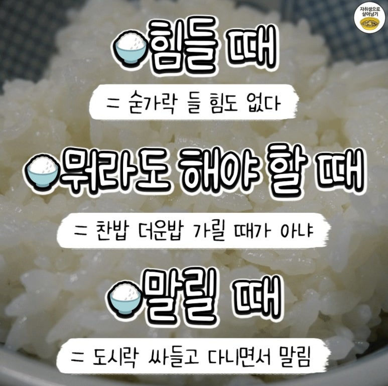 밥에 진심 이미지
