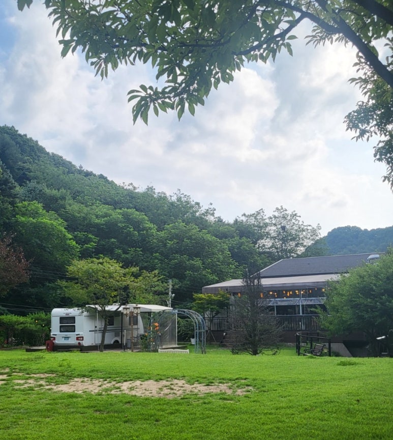 초리포레스트 이미지