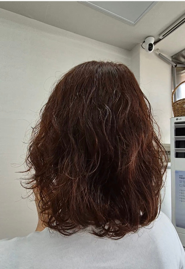 하쏘헤어 이미지