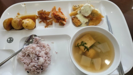 젤리네바다 이미지