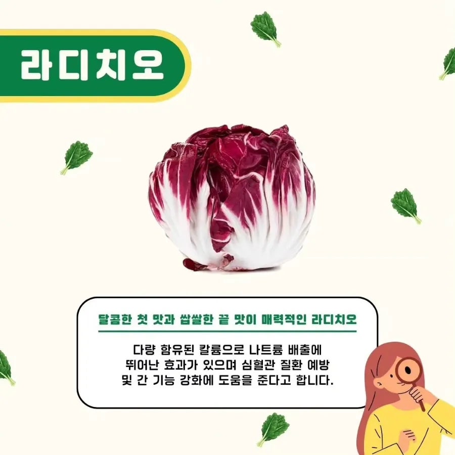 샐러디운서역점 이미지