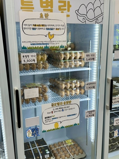 알줍 이미지