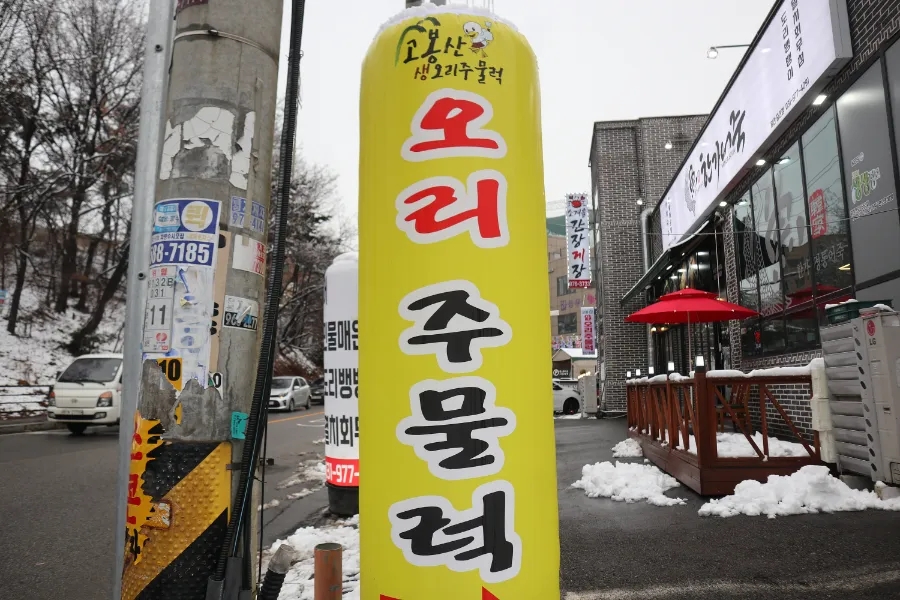 우리생오리 이미지