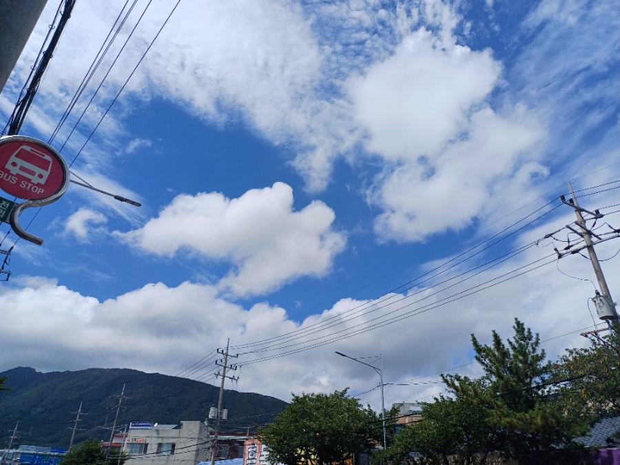 찰칵이상자 이미지