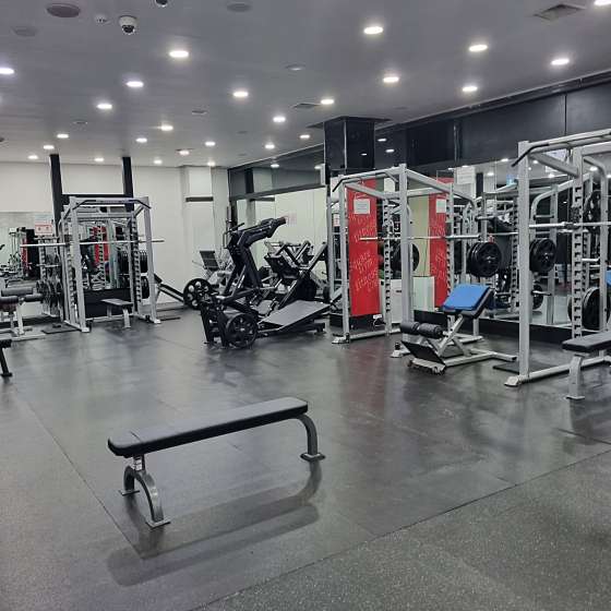 스퀘어짐 이미지