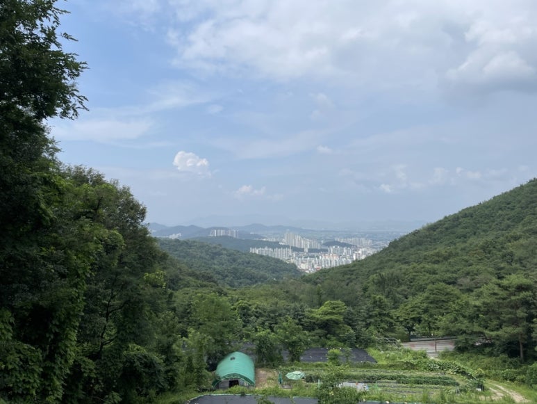 동그리앤원플러스 이미지