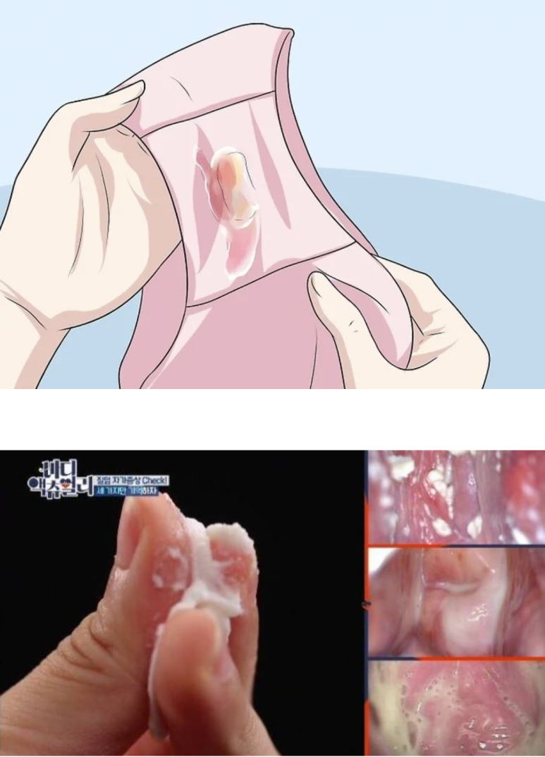 한나여성의원 이미지