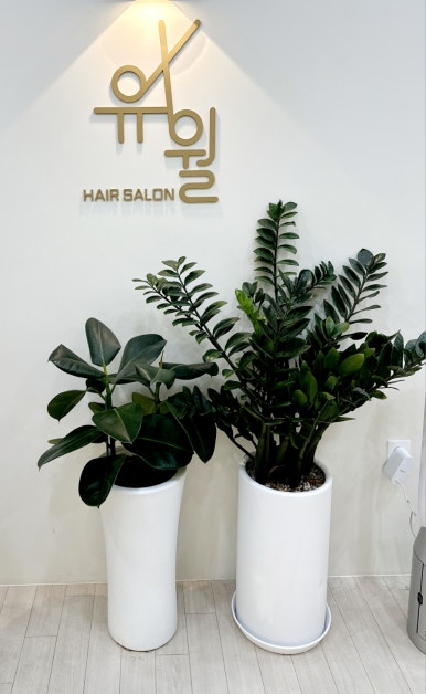 살롱유월 이미지