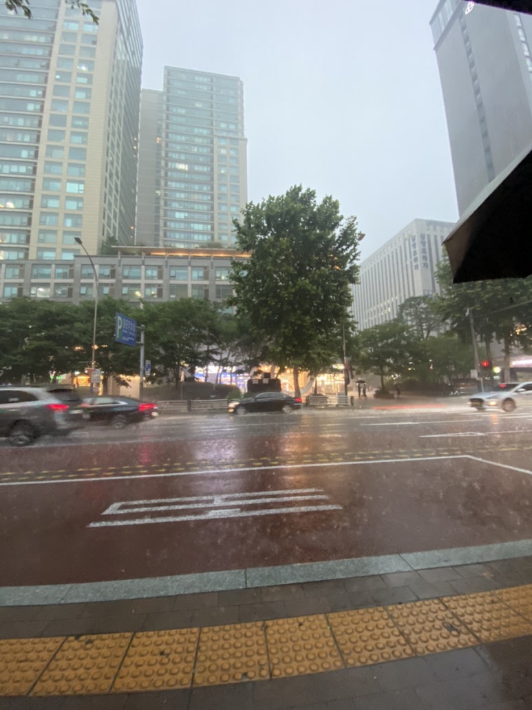 팔민물장어직판장 이미지