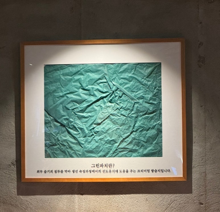 그린파치 이미지