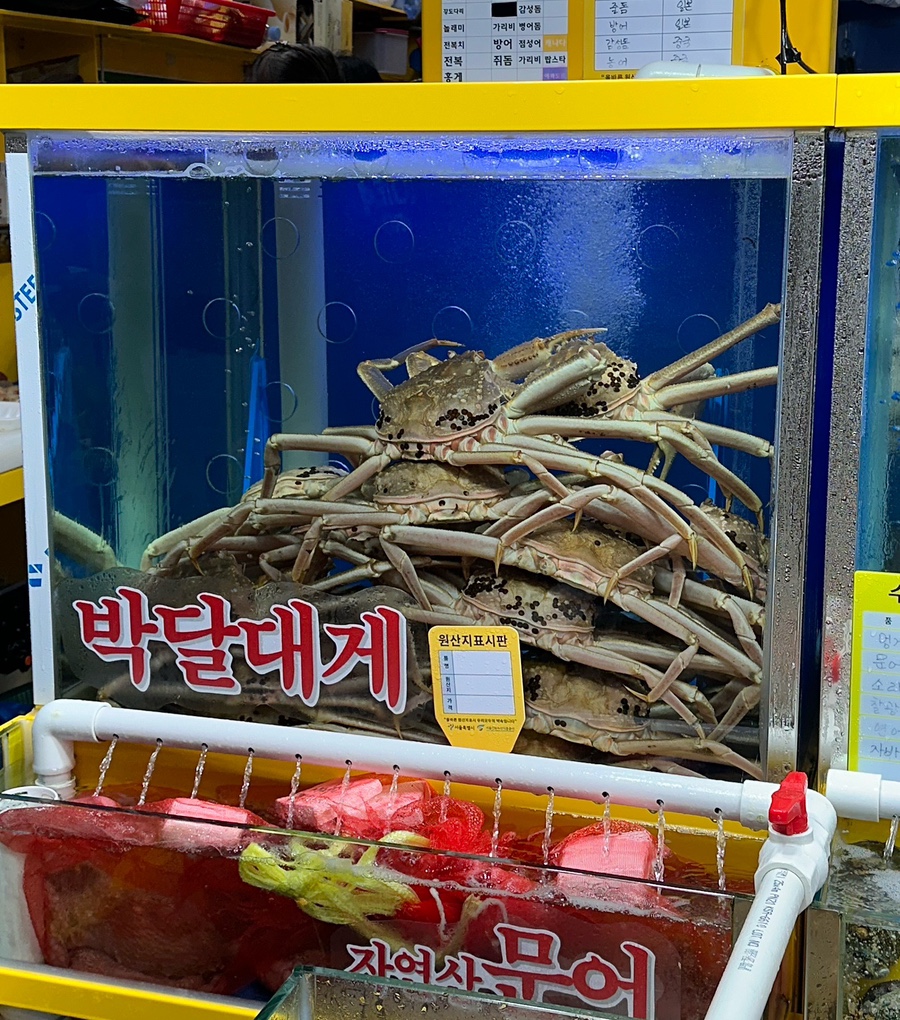 원대시장횟집 이미지