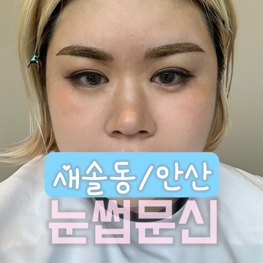 테오르헤어 이미지