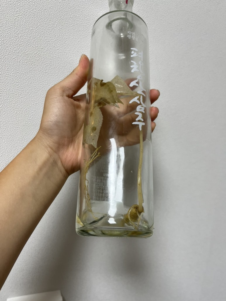 한국에프앤비 주식회사 이미지