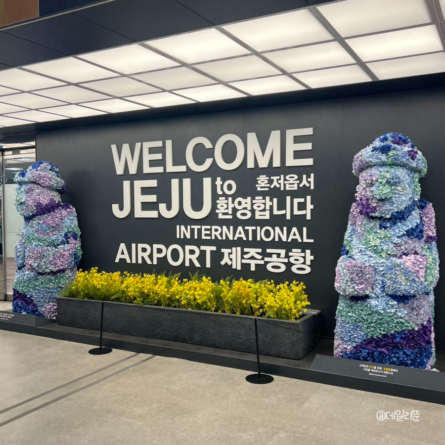 제주김집사 이미지