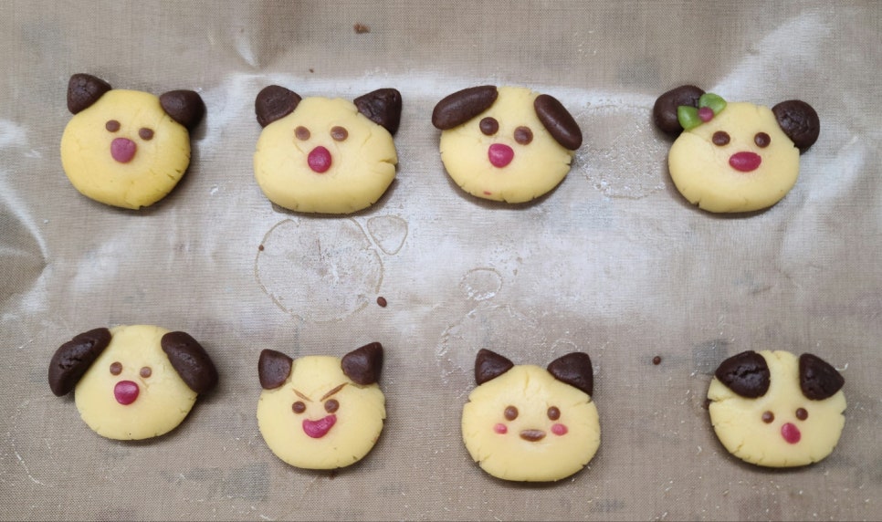 사회적협동조합담쟁이 이미지